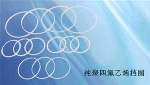 纯聚四氟乙烯挡圈